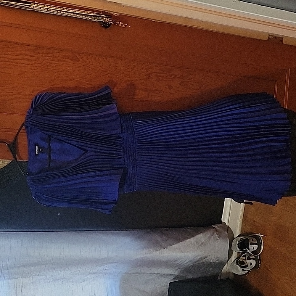 EXPRESS dress